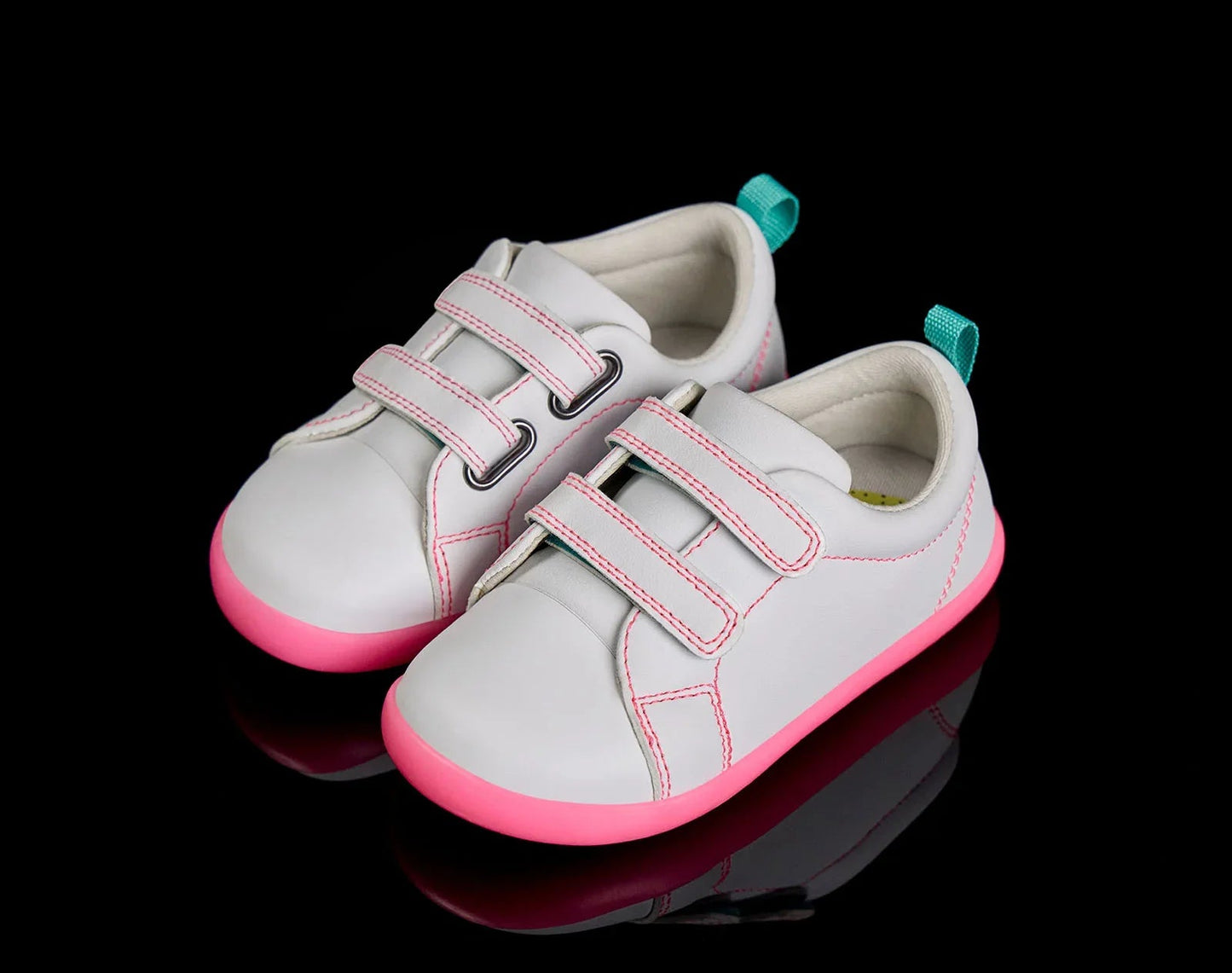 Everyday Original - Neon Glow