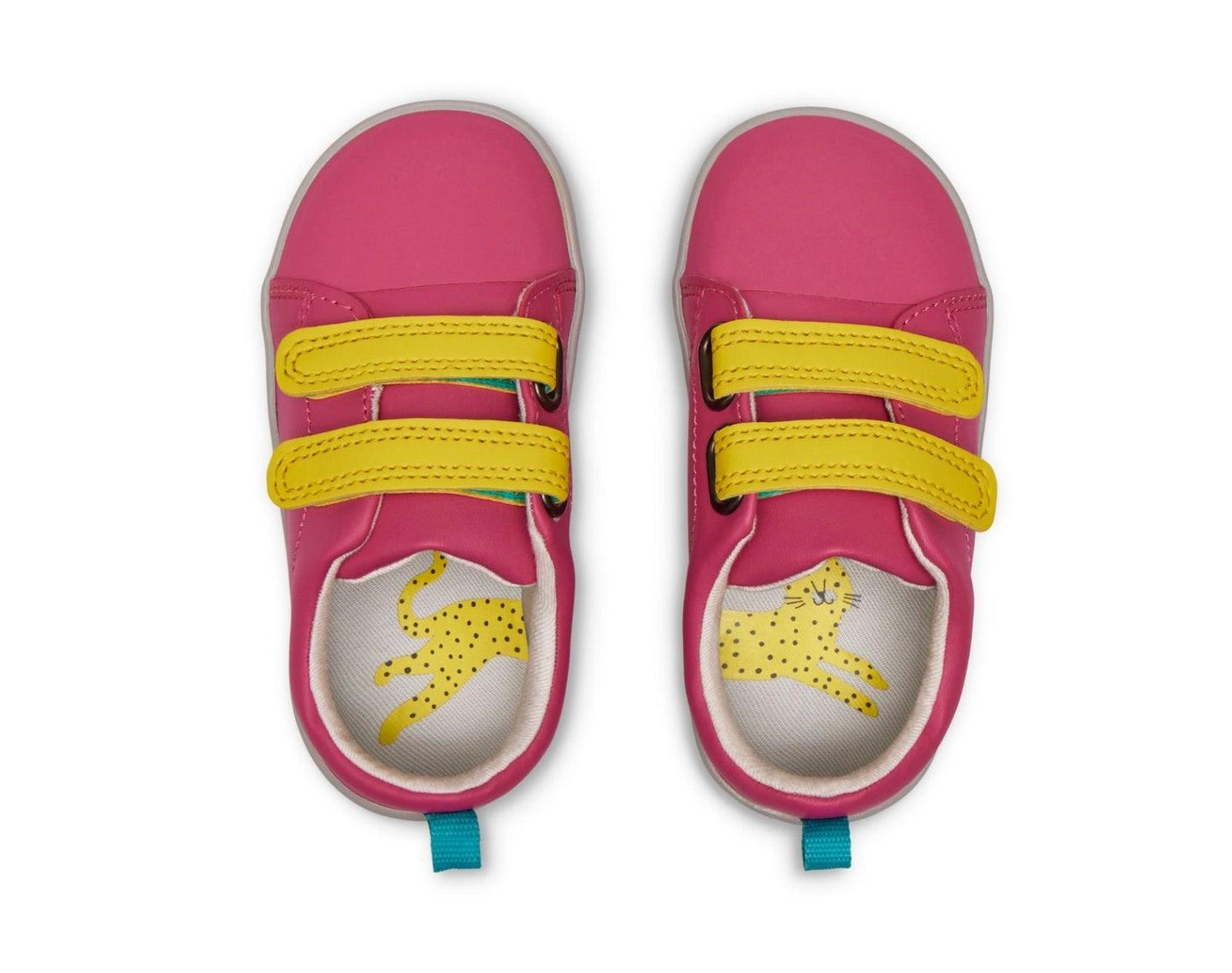 Everyday Original X2