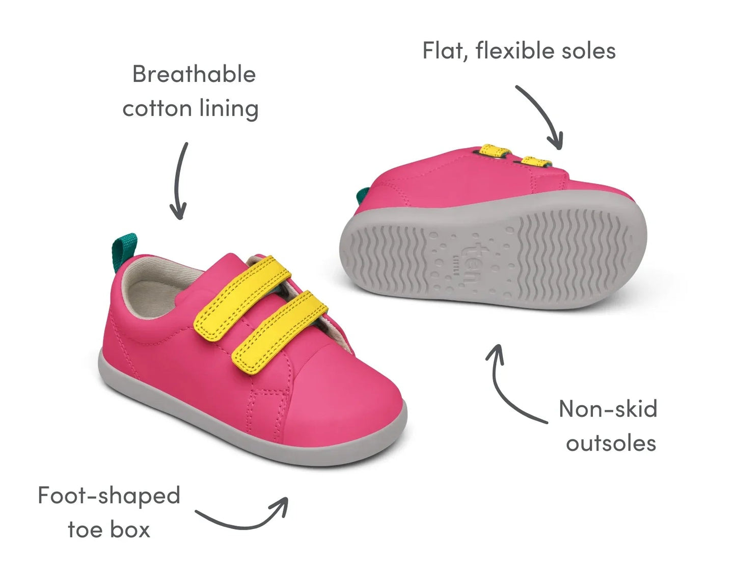 Everyday Original X2